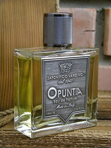 Мужская парфюмерная вода Saponificio Varesino Opuntia Eau De Parfum, 100 мл фото 2